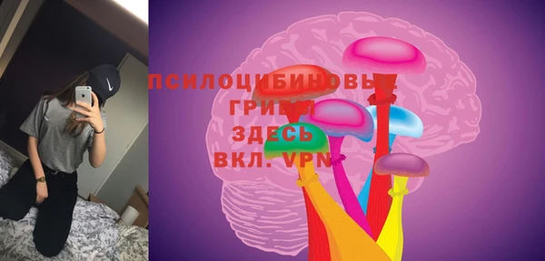 mdpv Новокубанск