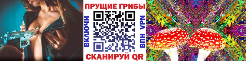 Псилоцибиновые грибы ЛСД наркошоп Котельники