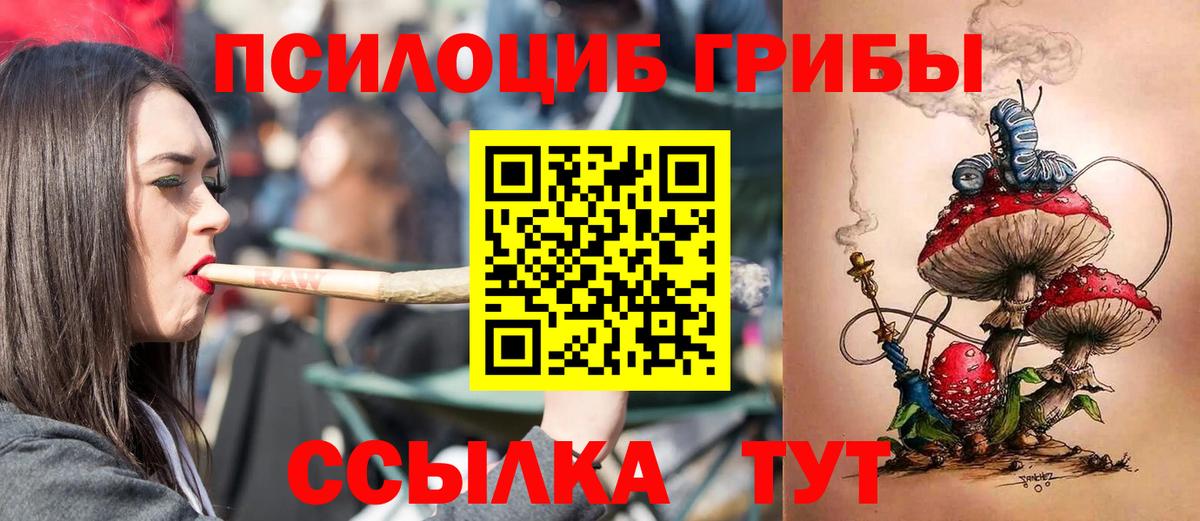 Котельники  Псилоцибиновые грибы ЛСД  даркнет сайт  Галлюциногенные грибы Psilocybe  Вход с VPN 